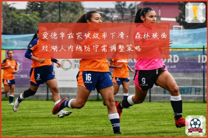 爱德华兹突破效率下滑,森林狼面对湖人内线防守需调整策略