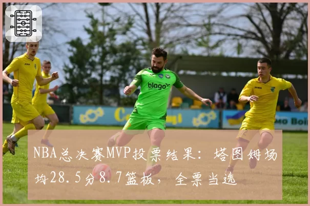 NBA总决赛MVP投票结果：塔图姆场均28.5分8.7篮板，全票当选
