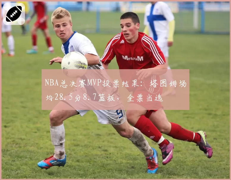 NBA总决赛MVP投票结果：塔图姆场均28.5分8.7篮板，全票当选
