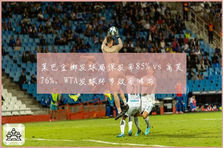 莱巴金娜发球局保发率85% vs 高芙76%，WTA发球环节效率鸿沟